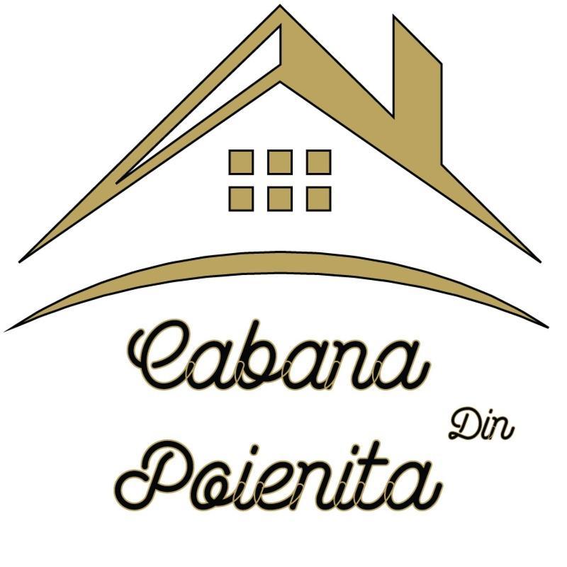 Cabana Din Poienita 波亚纳布拉索夫 外观 照片